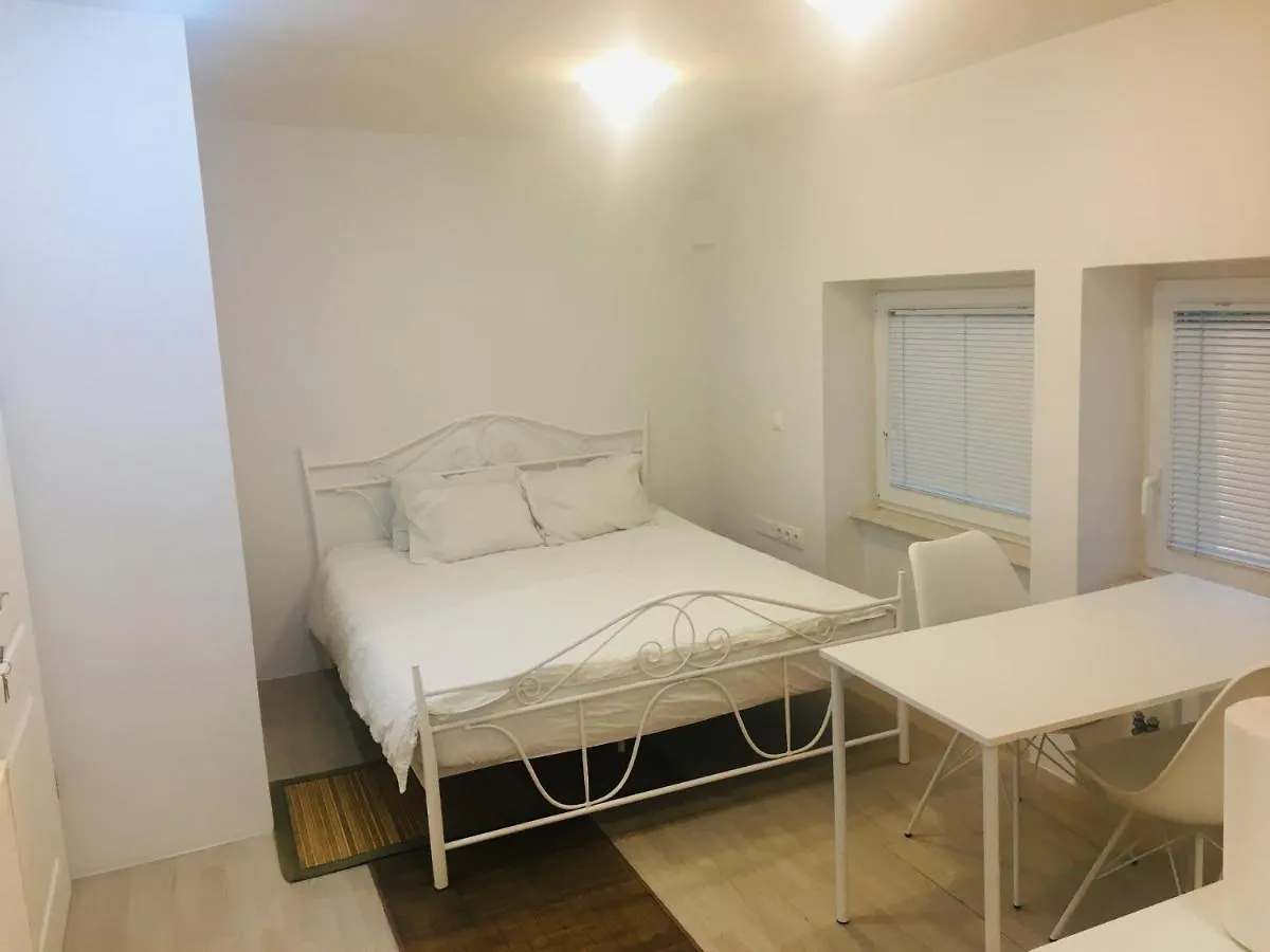 Apartament Industrial Studio Lublana