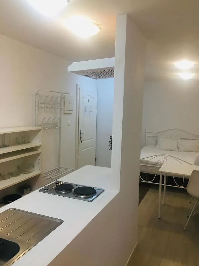 Apartamento Industrial Studio Liubliana