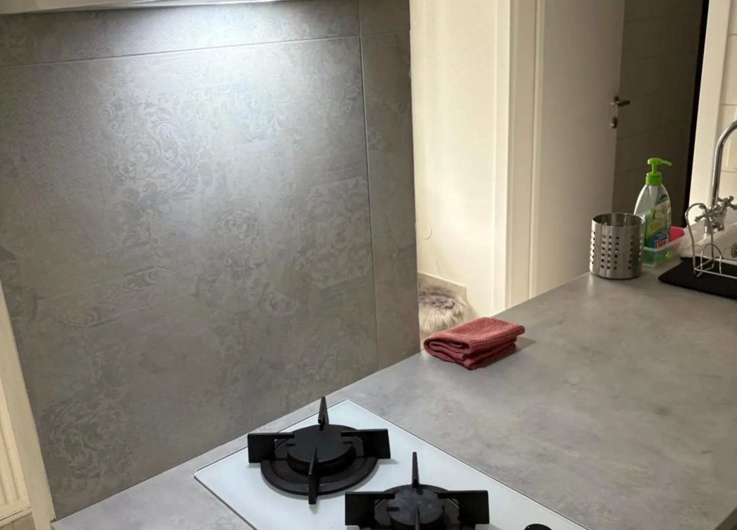 Apartamento Industrial Studio Liubliana